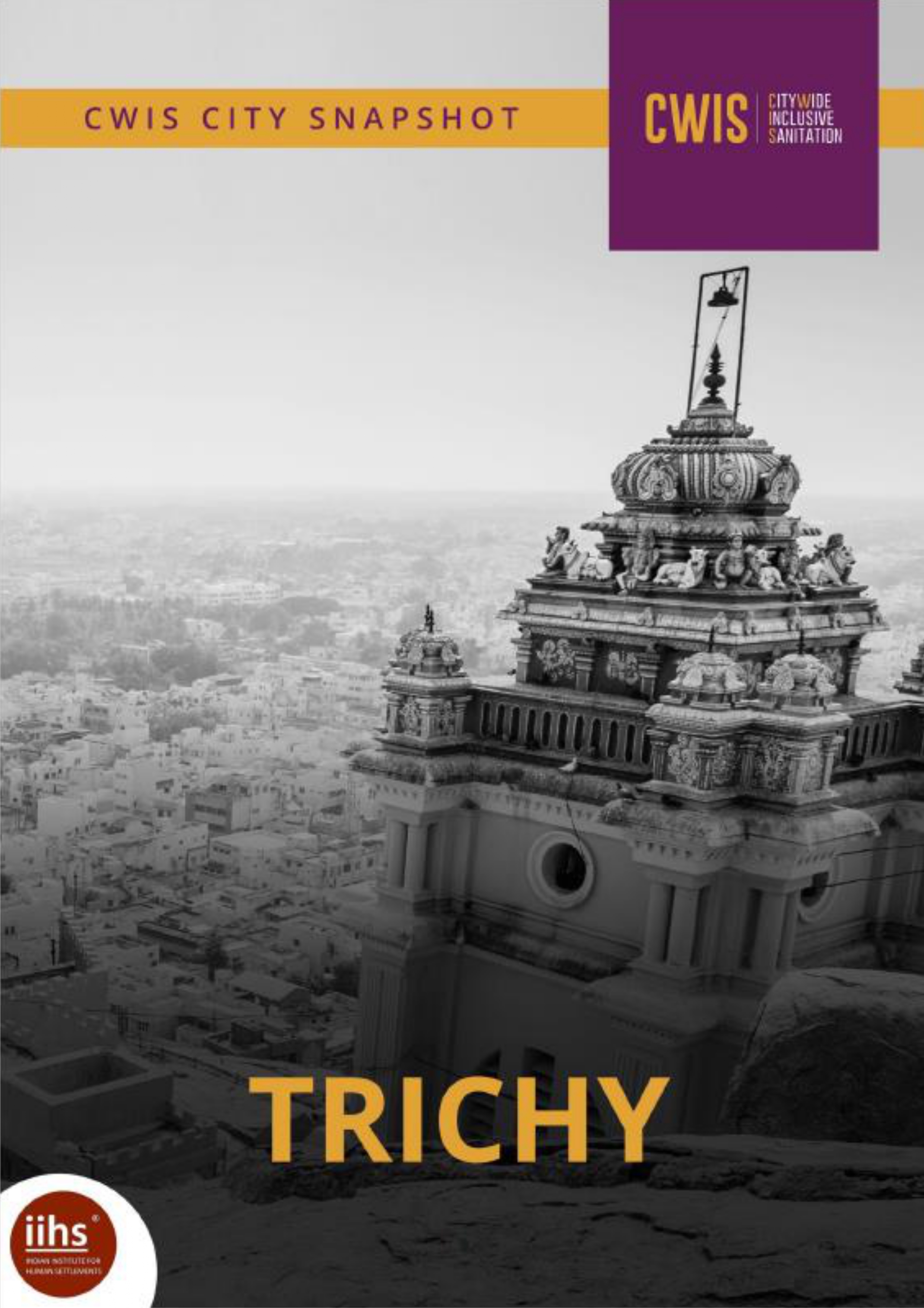 Trichy CWIS City Snapshot