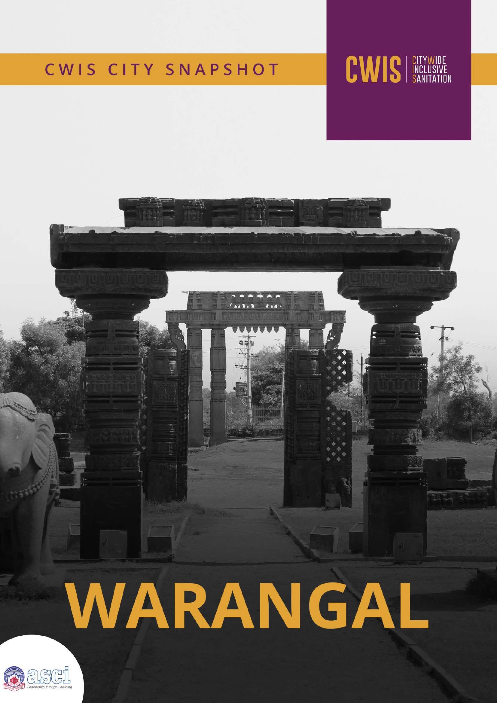 Warangal CWIS city snapshot